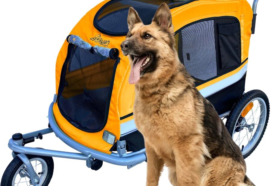 Ride in Style: The Booyah Extra Large Pet Bike Trailer Review!