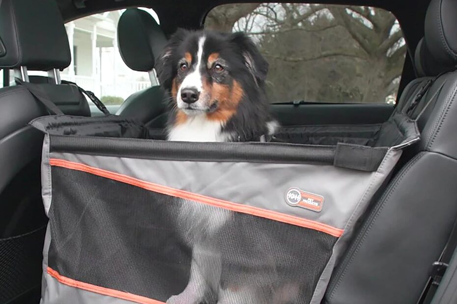 Ride Safe: K&H Pet Products Buckle N Go Car Seat Review for Large Dogs