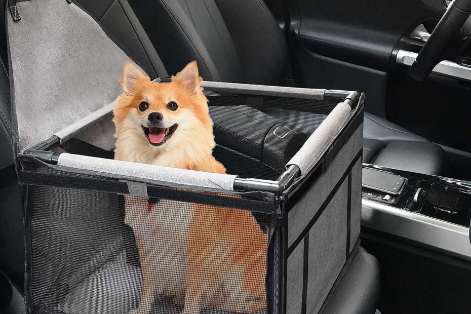 Safe and Cozy Rides: The Best Dog Car Seats for Small & Medium Pups!