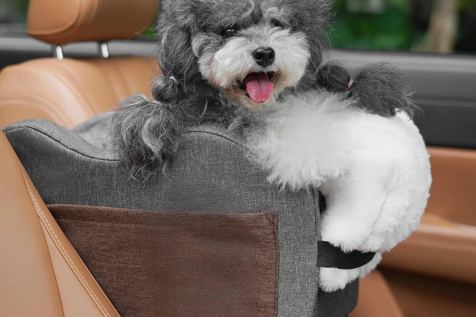 Safe and Snug: The Ultimate Booster Car Seat for Your Small Dog!