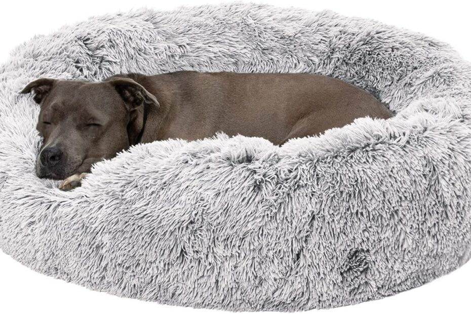 Snuggle Up: A Review of the Furhaven 36" Round Calming Donut Dog Bed