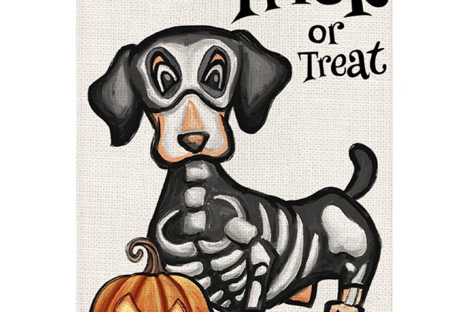 Spooktacular Charm: Reviews of the Halloween Trick or Treat House Flag Featuring a Ghostly Dachshund!