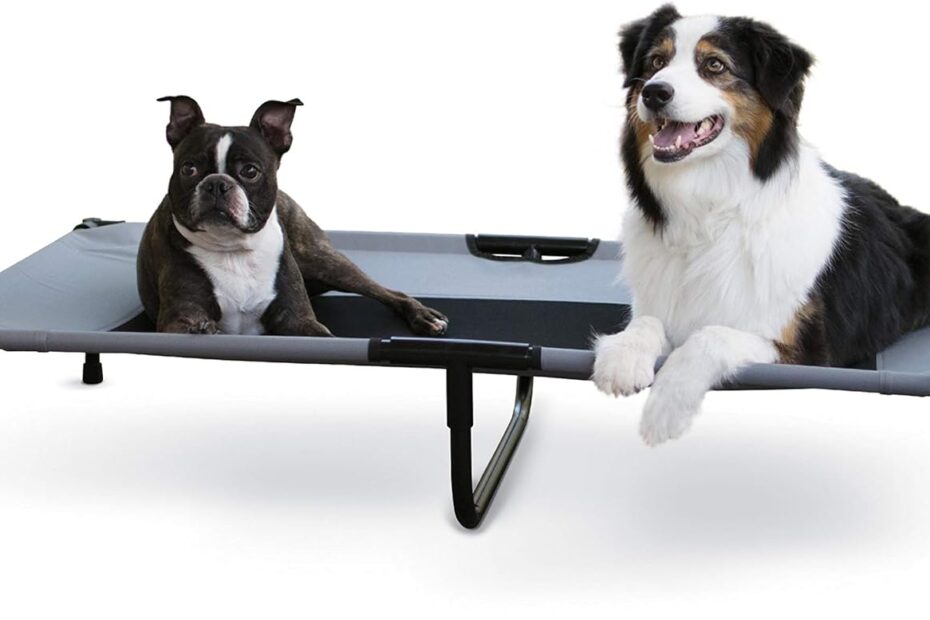 Stay Cool & Comfy: The Ultimate Review of the K&H Elevated Dog Cot for XL Dogs