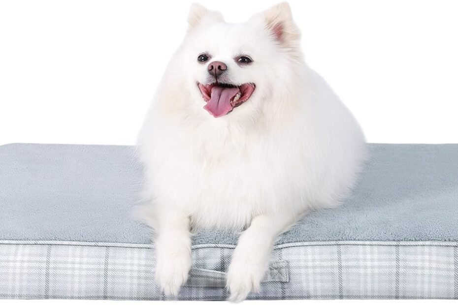 The Best Cozy Haven: MIHIKK Washable Orthopedic Dog Bed Review