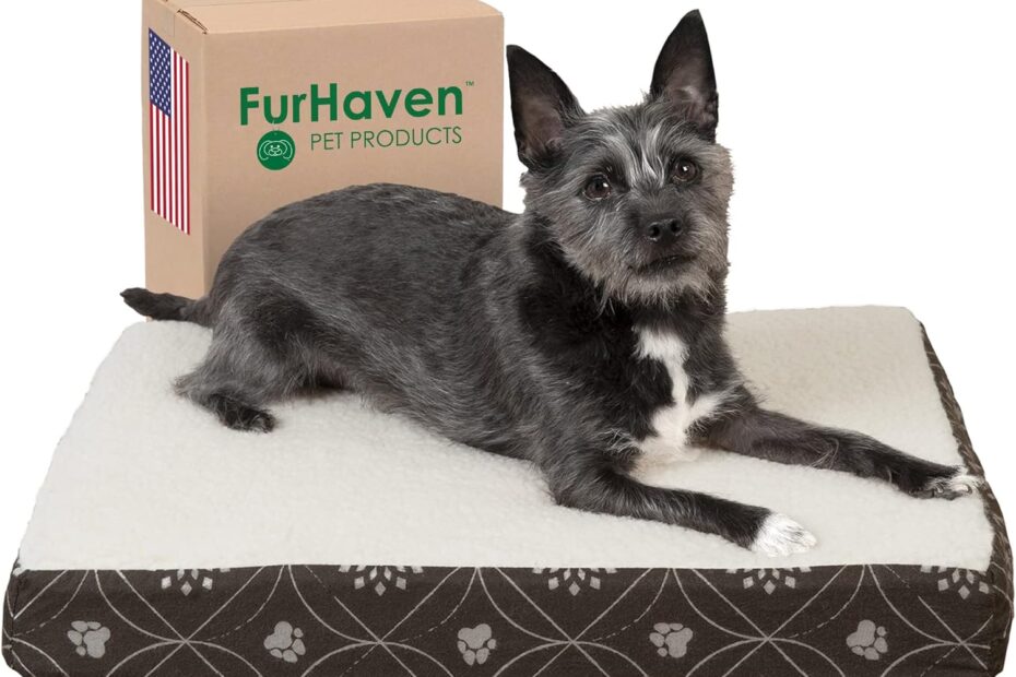 The Cozy Haven: Furhaven Orthopedic Dog Bed Review for Small Paws