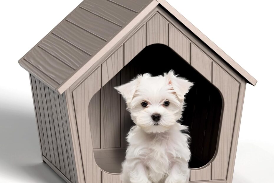 The Perfect Retreat: Review of the Sturdy Indoor/Outdoor Dog House with Elevated Floor