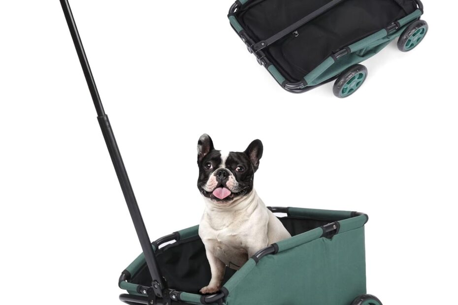 The Perfect Ride: Mini Dog Strollers for Happy Pup Adventures!