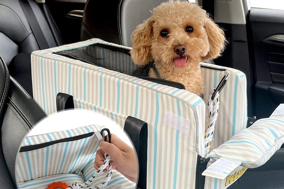 The Perfect Ride: Unbiased Review of the Small Dog Car Seat Booster!