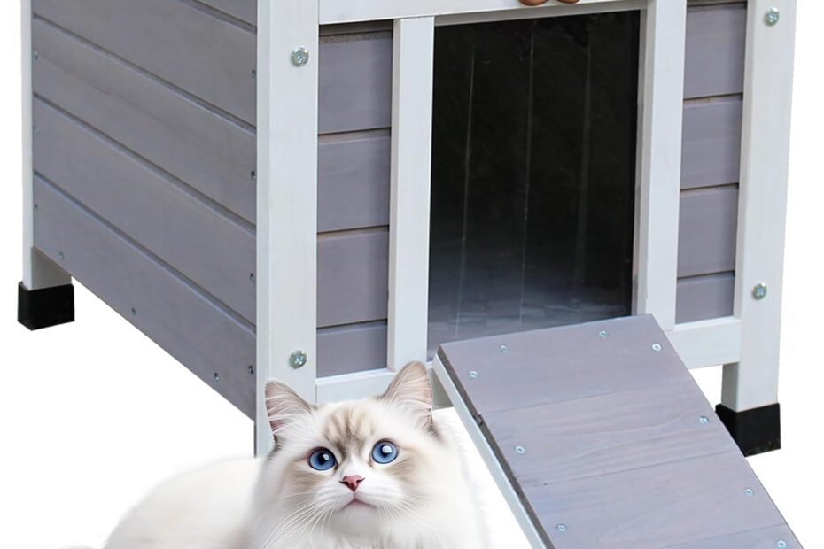 The Perfect Shelter: Rockever Outdoor Cat House Review for Feral Felines