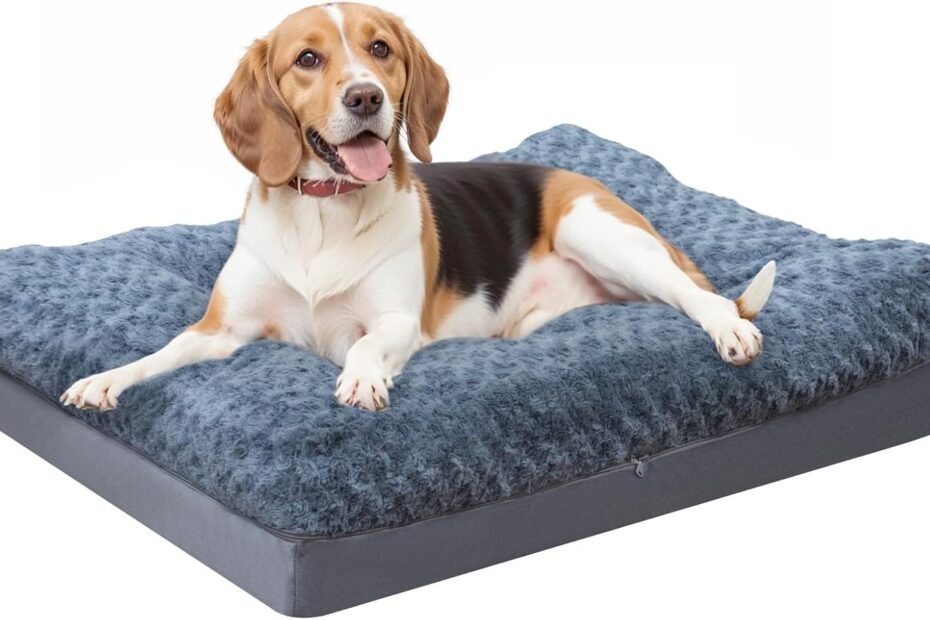 The Ultimate COMAX Orthopedic Dog Bed: Comfort Meets Durability for Large Breeds!