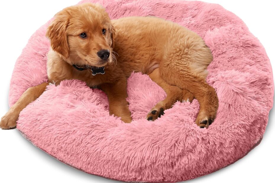 The Ultimate Comfort: Amazon's Active Pets Calming Orthopedic Dog Bed Reviewed!