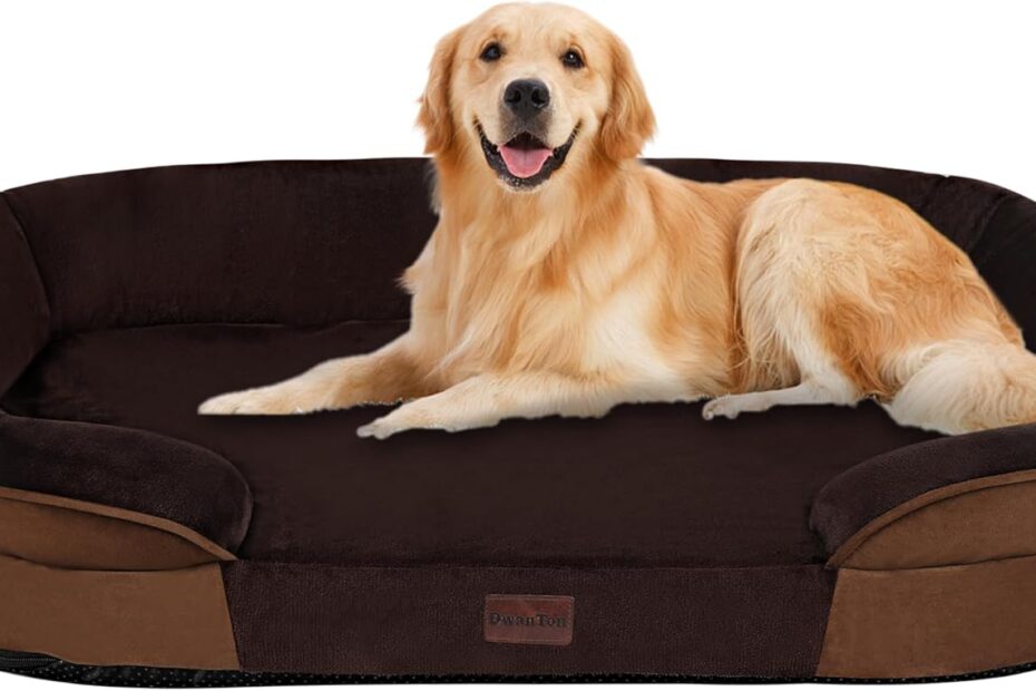 The Ultimate Comfort: Dwanton Orthopedic Dog Bed Review for Large Pups