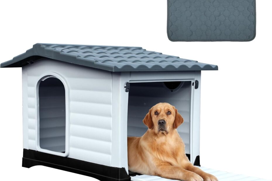 The Ultimate Comfort: DWVO Elevated Dog House Review for Every Pup!