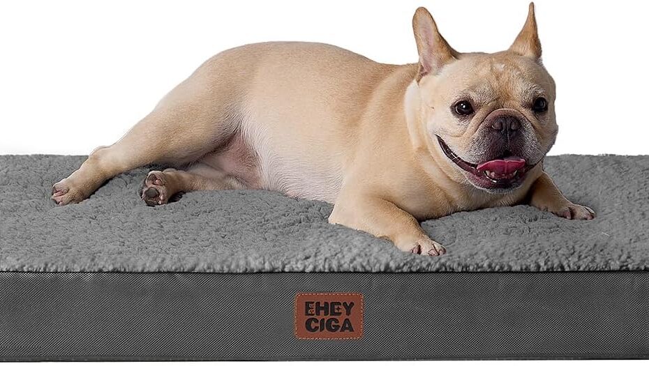 The Ultimate Comfort: EHEYCIGA Orthopedic Dog Bed Review for Small Paws!