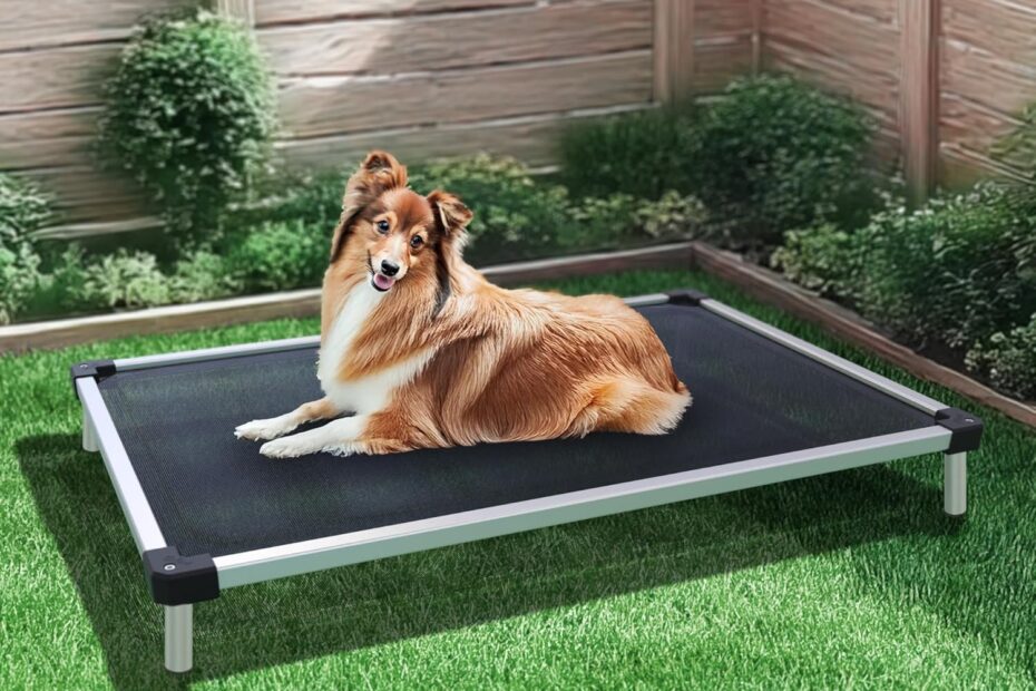 The Ultimate Comfort: FXW TitanNest Cooling Chew-Proof Elevated Bed Review for Active Dogs