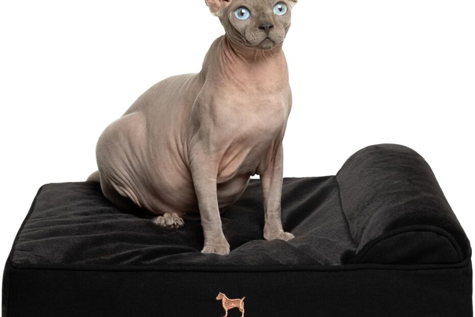 The Ultimate Comfort: NOAH & PAW Orthopedic Dog and Cat Bed Reviewed!