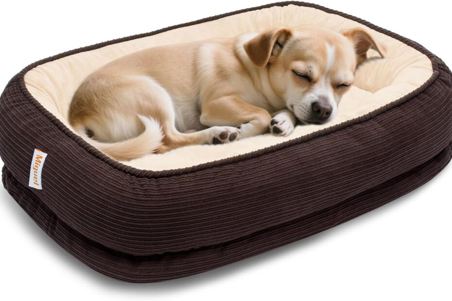 The Ultimate Comfort: Review of the Orthopedic Dog Bed for Senior Cats