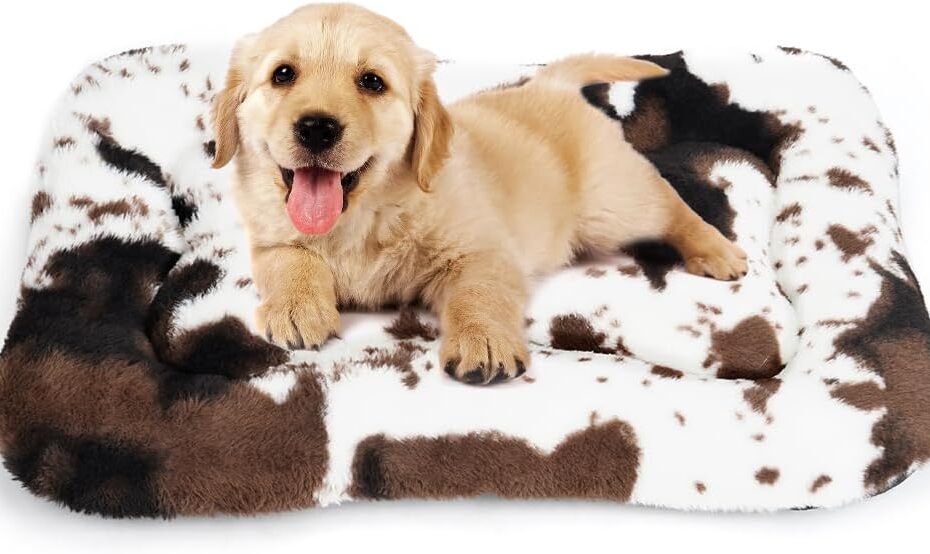 The Ultimate Comfort: ULIGOTA Dog Bed Crate Pad Review for Your Furry Friend