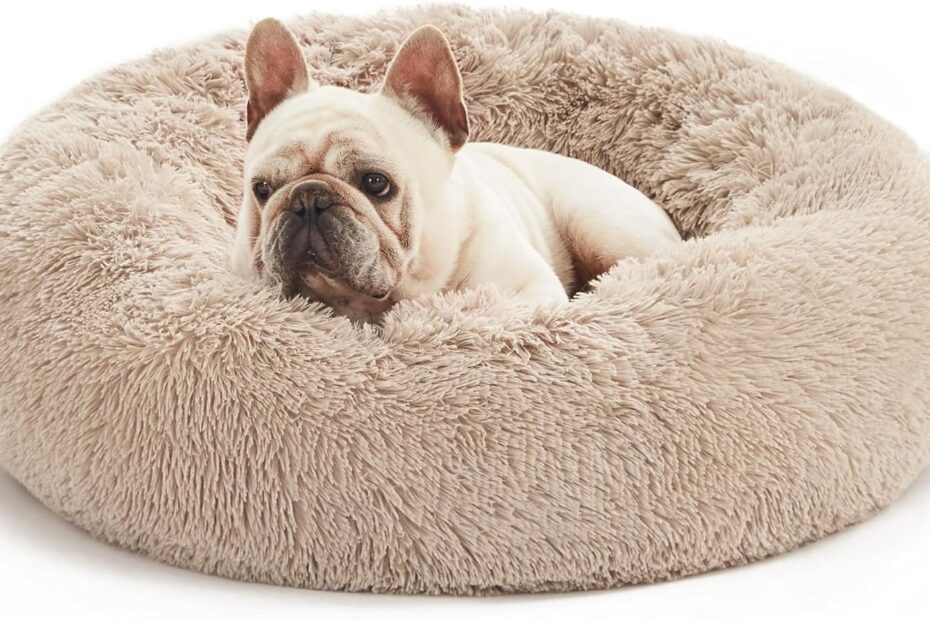 The Ultimate Cozy Retreat: Love's Cabin Anti-Anxiety Pet Bed Review