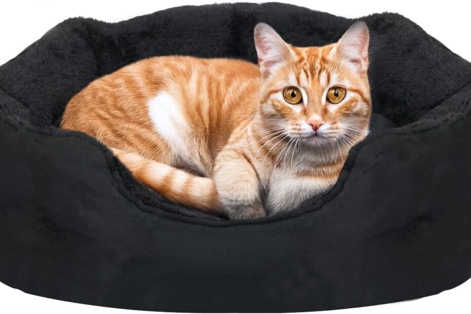 The Ultimate Cozy Retreat: Review of the 20'' Small Dog and Cat Bed