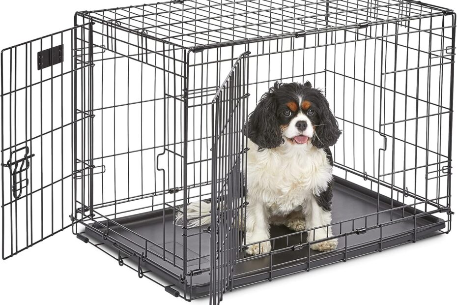 The Ultimate Dog Crate: MidWest Homes' Enhanced iCrate Review & Recommendations