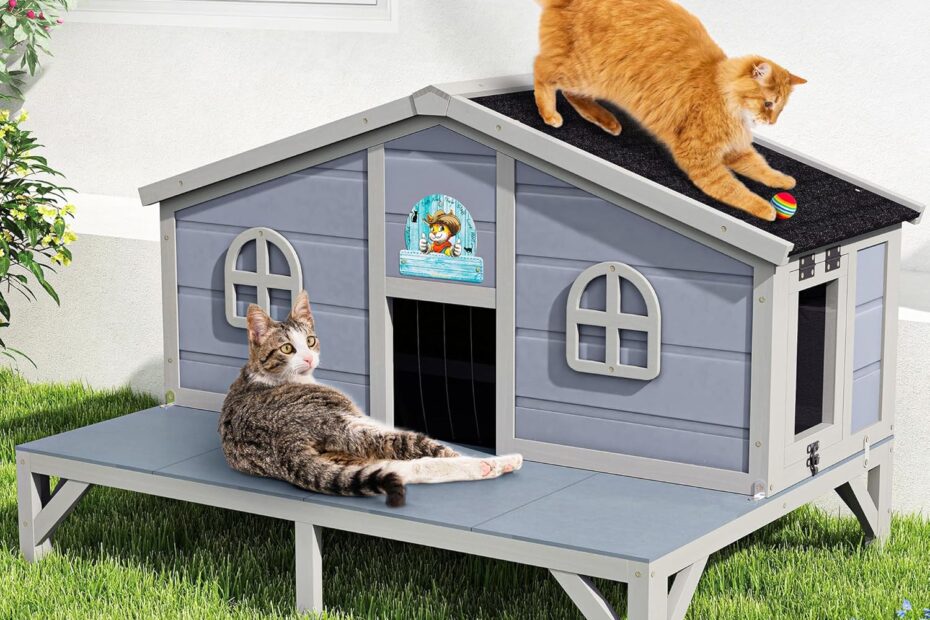 The Ultimate Guide to the Large Outdoor Feral Cat House: Comfort & Safety in One!