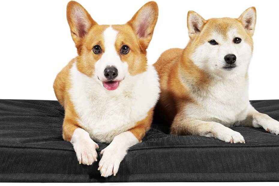 The Ultimate Indestructible Dog Bed: Unmatched Comfort & Durability for Large Dogs