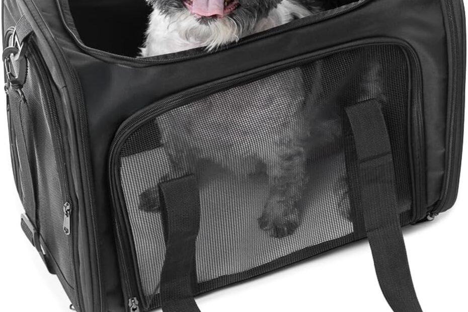 The Ultimate Pet Travel Solution: Tebon's 17.5" Collapsible Carrier Review