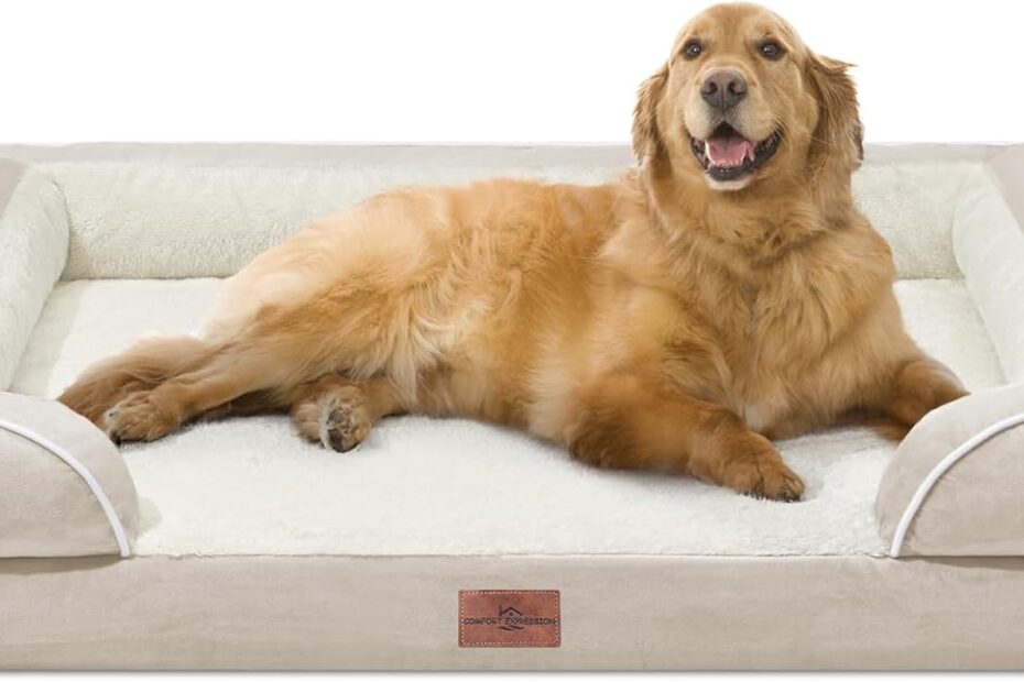 The Ultimate Review: Comfort Expression XL Dog Bed for Large Pups!