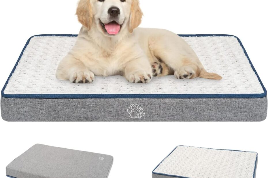 The Ultimate Review of the EMPSIGN Reversible Dog Bed: Comfort for Every Season!