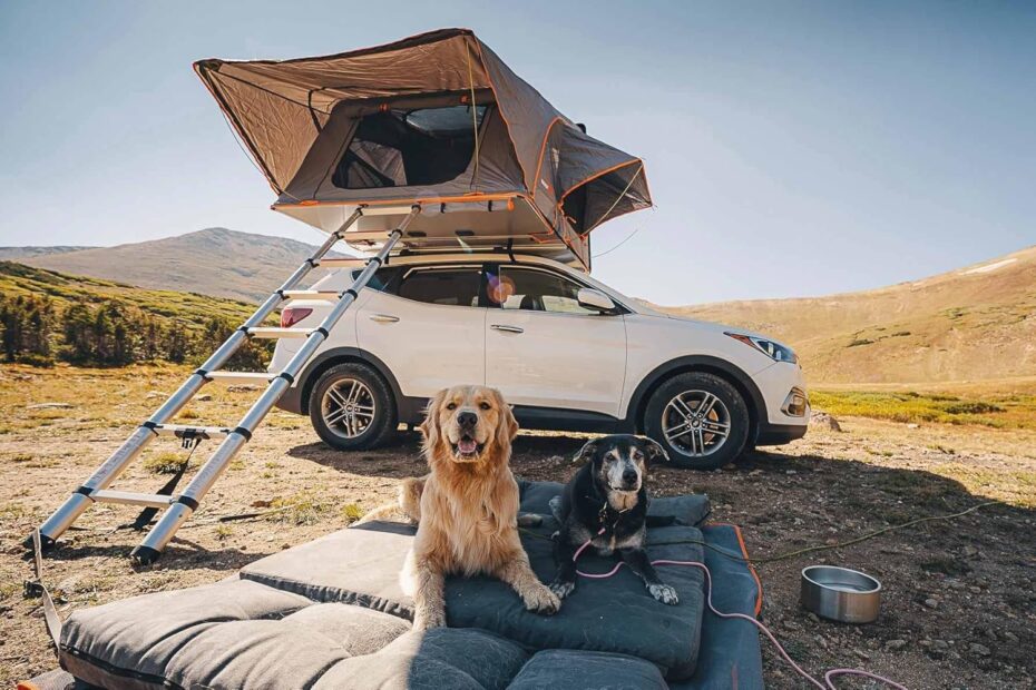 Transform Your Dog's Travel Comfort: Review of the Barker Beds Orthopedic SUV Bed