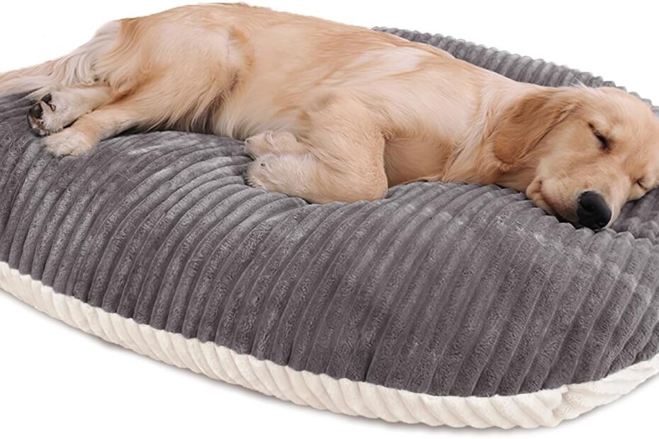 Transform Your Pet's Sleep: Review of the Patas Lague Reversible Orthopedic Dog Bed
