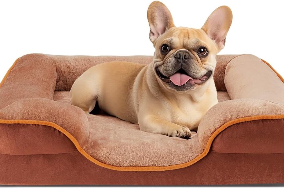 Transform Your Pet's Sleep: Review of the Sweetcrispy Orthopedic Dog Bed