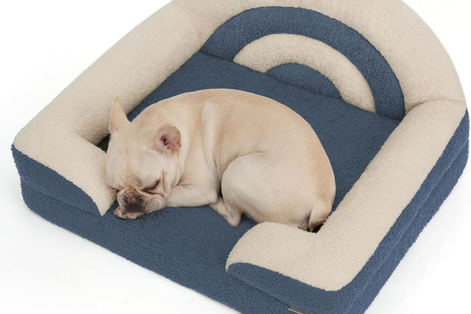 Transform Your Pup's Comfort: Blissful Diary Foam Dog Bed Review