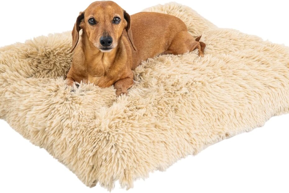 Transform Your Pup's Sleep: Review of the Best Friends by Sheri 4-in-1 Orthopedic Nap Mat