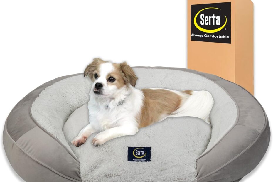 Transform Your Pup's Sleep: Serta Oval Couch Dog Bed Review