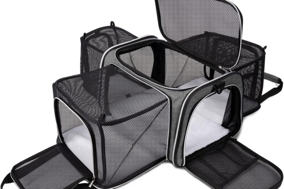 Travel in Comfort: BAGLHER Soft-Sided Cat Carrier Review