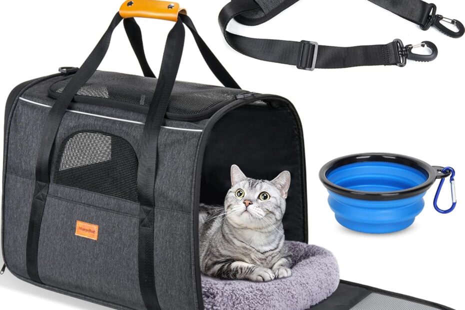 Travel in Comfort: Morpilot Soft-Sided Cat Carrier Review