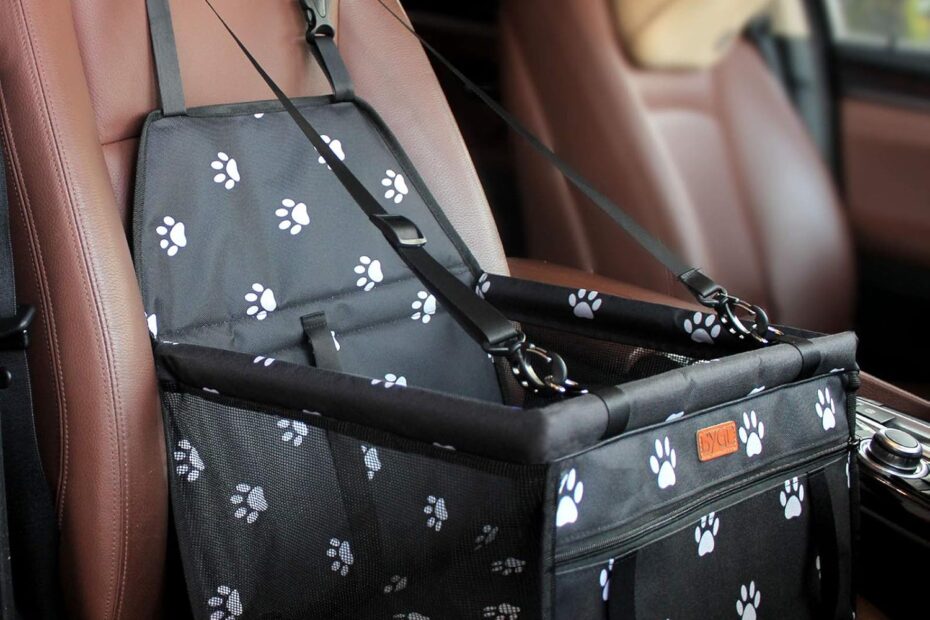 Travel in Comfort: Review of the BYGD Pet Dog Booster Seat