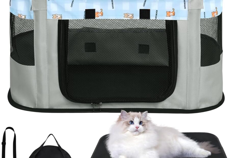 Travel in Comfort: The Ultimate Review of the Soft Sided Collapsible Cat Carrier