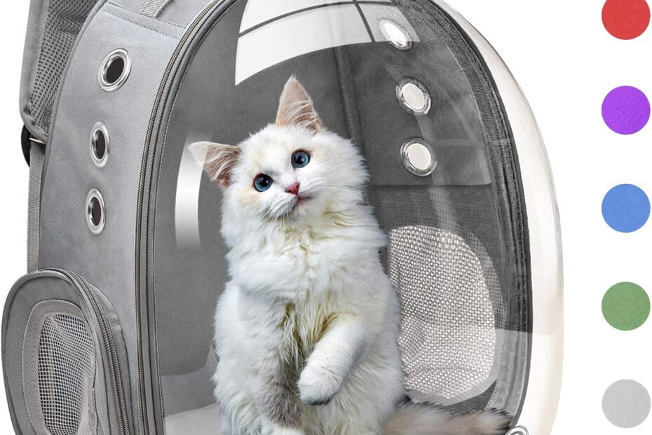 Travel in Style: Review of the Bubble Carrying Bag for Small Pets