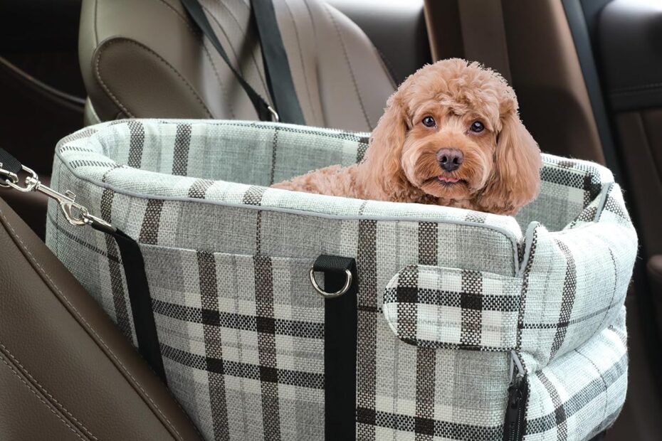 Travel in Style: The Best Small Dog Car Seat for Your Furry Friend