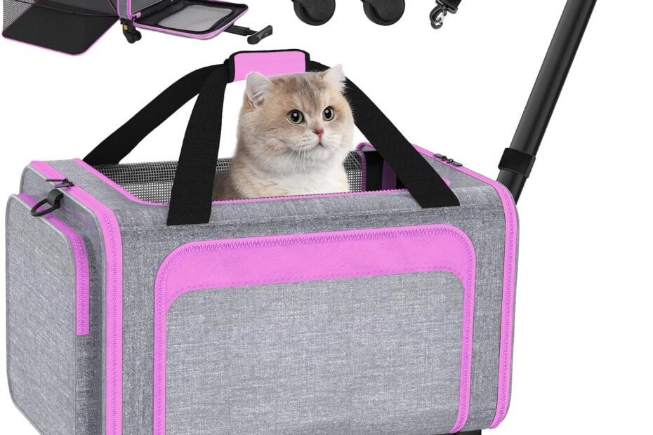 Travel in Style: The Ultimate 3-in-1 Cat Carrier Review!