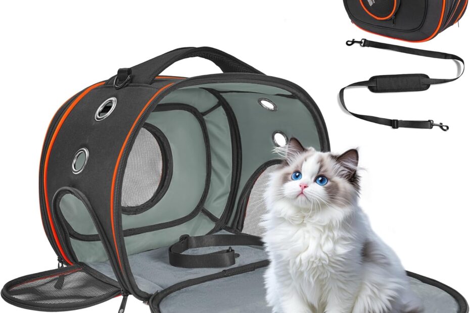Travel Safe: Top Reviews of the TSA Approved Cat Carrier for Your Furry Friend