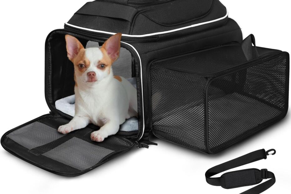 Travel Smart: Review of Petskd Expandable Pet Carrier for Small Pets