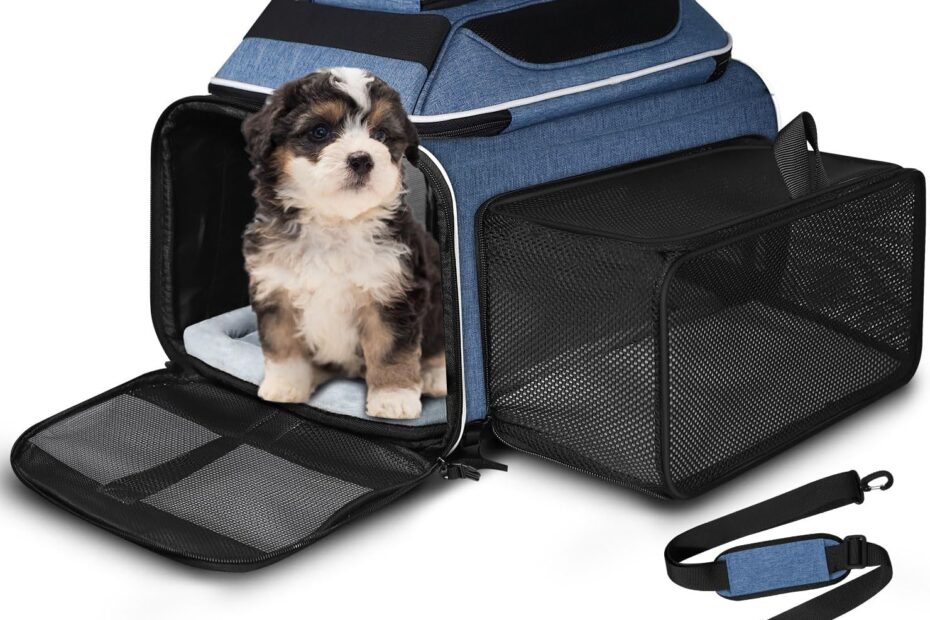 Travel Smart: Review of the Petskd Expandable Pet Carrier for Flying Pets