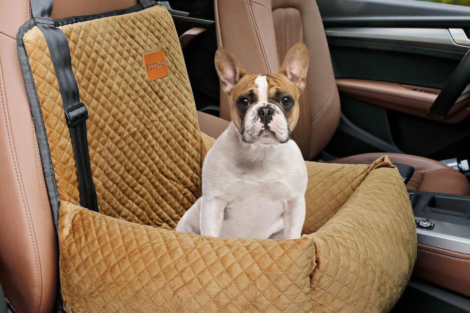 Travel Smart: The Safe & Comfy Dog Booster Seat Review
