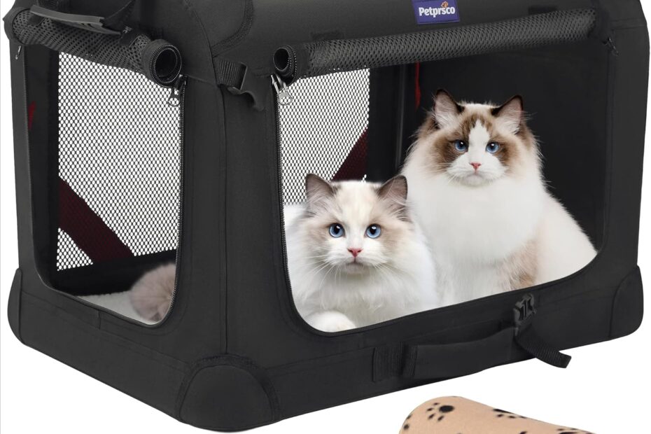 Traveling in Style: The Petprsco Large Cat Carrier Review for Two Cats and Small Dogs