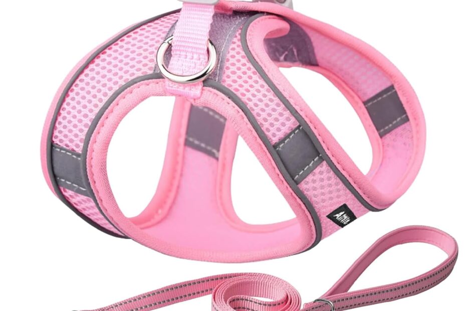 Ultimate Comfort: AIITLE Step-in Dog Harness & Leash Set Review