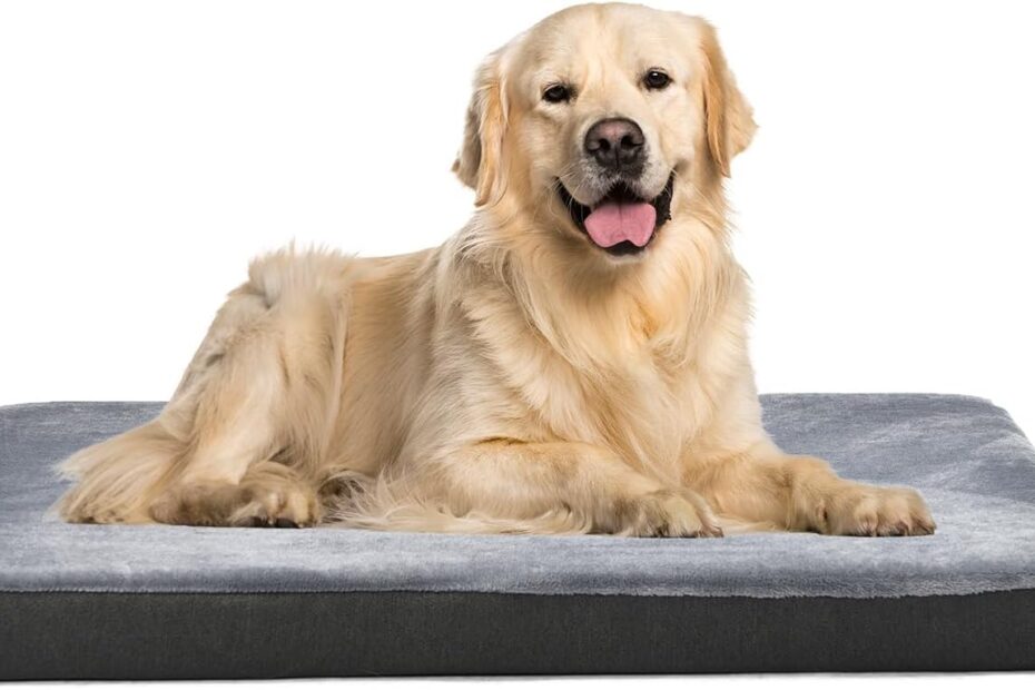 Ultimate Comfort: Amazon Basics Orthopedic Dog Bed Review for Large Dogs
